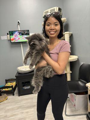 Kitty Queen Cat Rescue