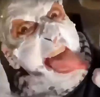 Main Street Middle school