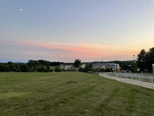 View overlooking student housing