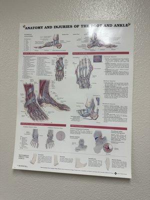 Dr Philip Radovic DPM