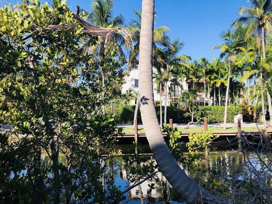 Richard Mancuso Greenway