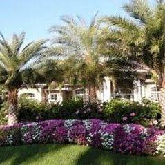 Cornerstone Landscaping & Maintenance
