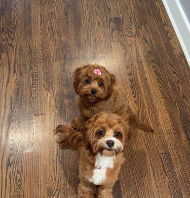 still looking and smelling great.