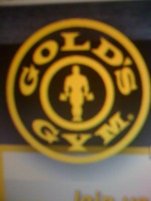 Golds gym new haven