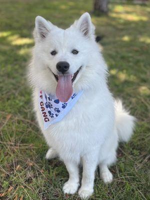 Woof Gang Bakery & Grooming