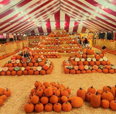 Our beautiful pumpkin display
