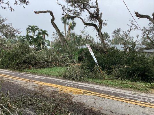 Juan Moreno Landscaping