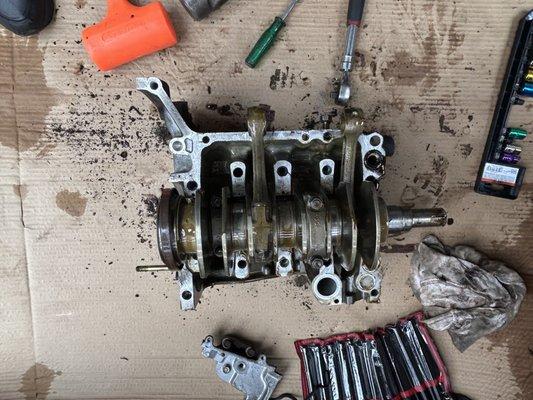 519 Transmission Repair