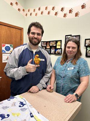 First avian vet visit!