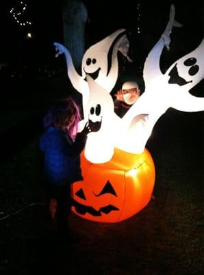 Daisy Avenue Christmas Tree Lane