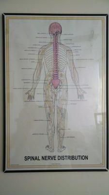 Dr. Arnold is the best!