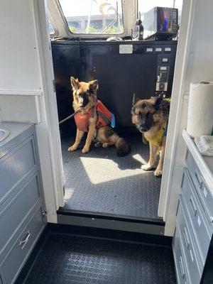 SF Bay Whale Watching