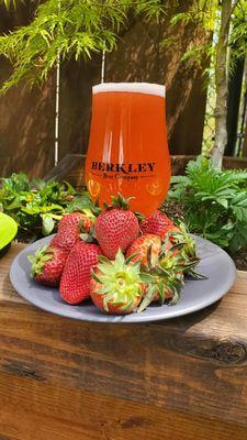 Berkley Beer Company