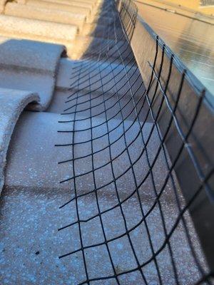 Cabana Pigeon Services