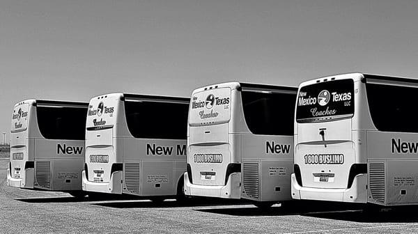 New Mexico Texas Coaches