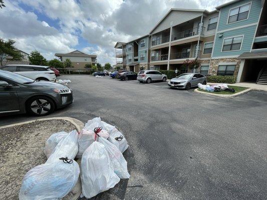 Trash company left trash on the street for Father's Day