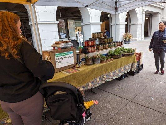 Lonely Mountain Farm LLC