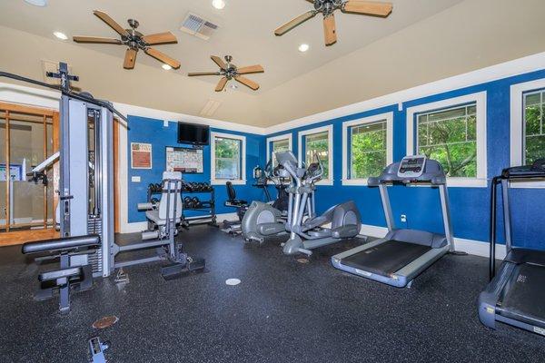 The Woods Of Five Mile Creek