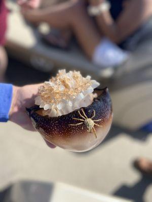 Captn Inman’s Little Secret Charters