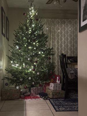 A's Toy Soldier Christmas Trees Baton Rouge