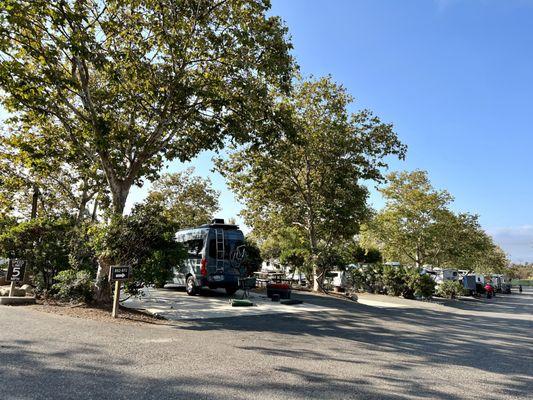 Larger pull-through sites