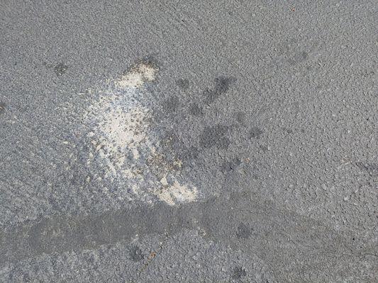 This is where he stopped for 1 minute to read our map for the park.