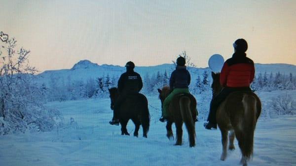 Cruise and Travel Partners