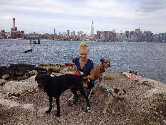 Veronica's Devoted Dog Walking