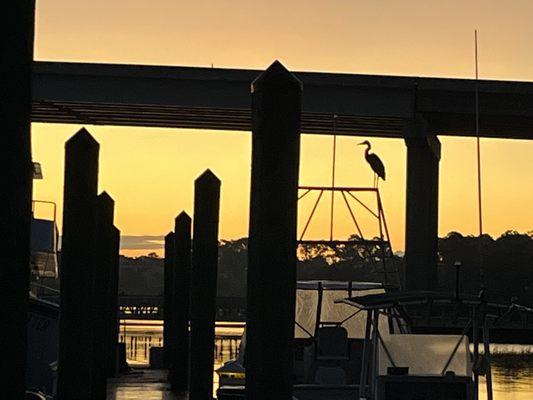 Reel Job Charter Fishing