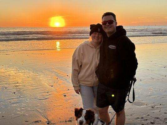 Bark Busters Ventura County