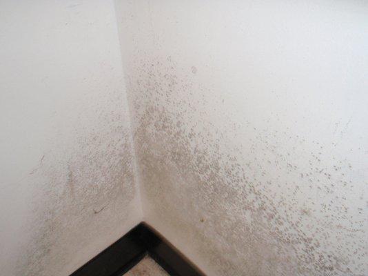 Dcm Environmental Testing