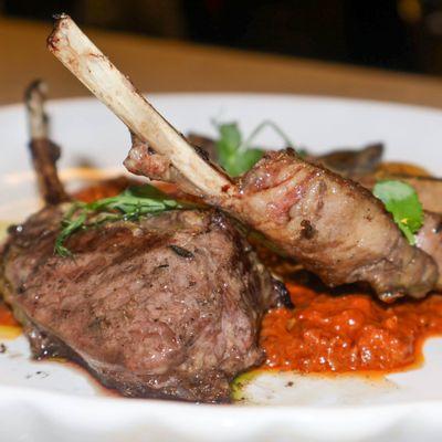 Cordero con Romesco
Succulent lamb paired with smoky romesco, creamy aioli, and roasted tomatoes -- a bold and flavorful!