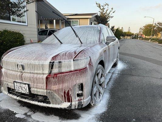 Savage Auto Detailing