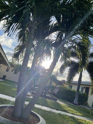 Sunset. Courtyard at the Shell Motel. August 6, 2022