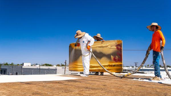 Spray Foam and Coating at Ford Delearship