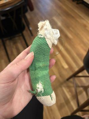 Evergreen Avian & Exotic Animal Hospital