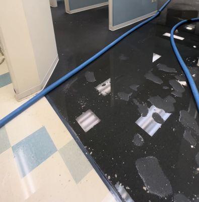 Hodge Cleaning Services