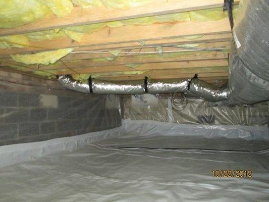 Marks Termite & Pest Control