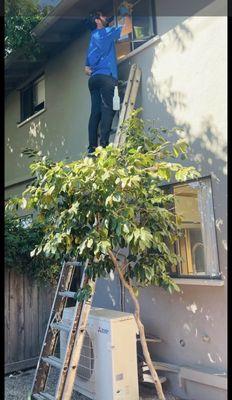 Torres Expert Cleaning Services