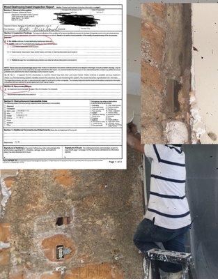 Advance Termite And Pest Control