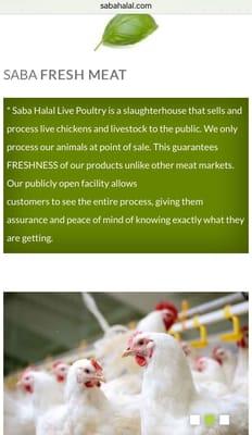 Jimmy built my website, I'm so glad I hired him!