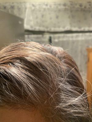 Gray in front and red and black and brown ?