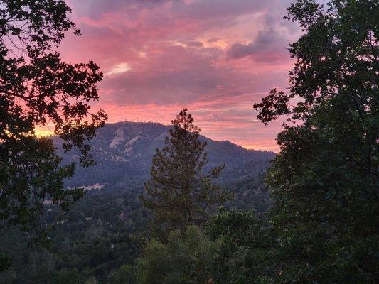 Mountain Shepherd Veterinary Services