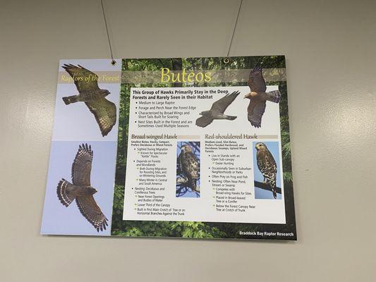 Braddock Bay Bird Observatory