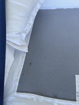 Sam Upholstery & Carpet Cleaning