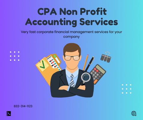 CPA Non Profit Accounting Services