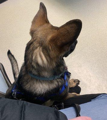 Waiting in the exam room