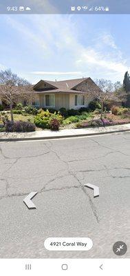 Los Altos Landscape Maintenance And Tree Service