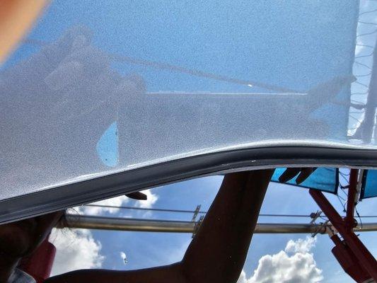 Windshield