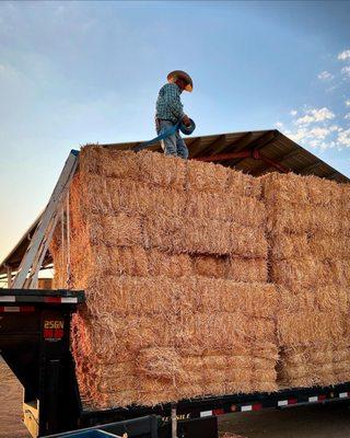 Another large hay delivery.. Thank you to all our customers !!!!